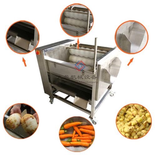  供应 机械包装 食品专用机械 果蔬加工设备 削皮机  jytp-80适合
